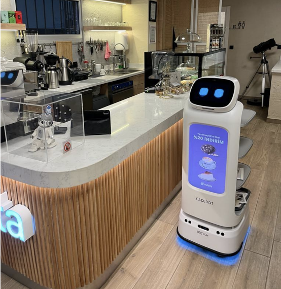 Humanoid Robots